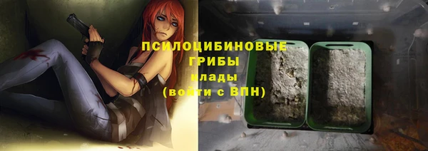 гашик Лихославль
