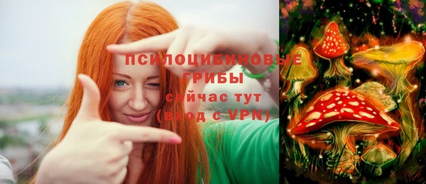 шишки Липки
